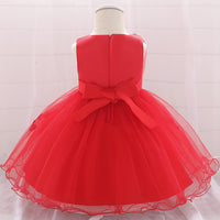 Baby Girl Embroidered Mesh Tutu Flower Princess Dress - PrettyKid