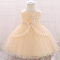 Baby Girl Embroidered Mesh Tutu Flower Princess Dress - PrettyKid