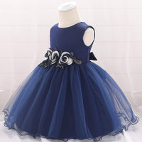 Baby Girl Prom Princess Tulle Tutu Flower Dress - PrettyKid