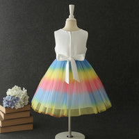 Girl Flower Lace Rainbow Skirt Princess Tutu Wedding Dress - PrettyKid