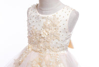 Girls Party Dress Sleeveless Mesh Tutu Dress Princess Wedding Dress - PrettyKid