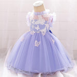 Baby Girl Embroidered Princess Dress - PrettyKid