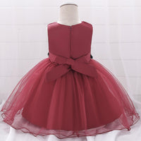 Baby Girl Prom Princess Tulle Tutu Flower Dress - PrettyKid