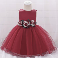 Baby Girl Prom Princess Tulle Tutu Flower Dress - PrettyKid