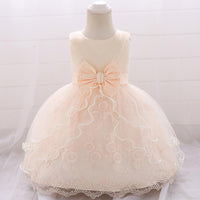 Baby Girl Big Bow Flower Princess Dress - PrettyKid