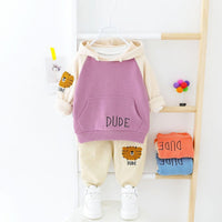 Boys Little Lion Pattern Hooded Top & Pants Boys Casual Suits - PrettyKid