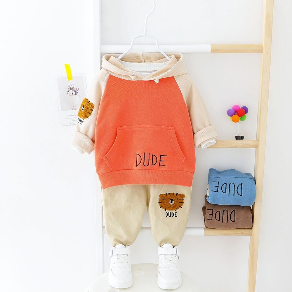 Boys Little Lion Pattern Hooded Top & Pants Boys Casual Suits - PrettyKid