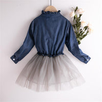 Girls Long Sleeve Button Sweet Tulle Dress - PrettyKid