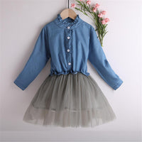 Girls Long Sleeve Button Sweet Tulle Dress - PrettyKid