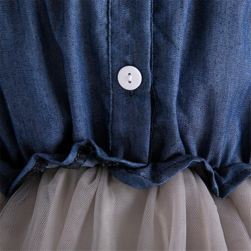 Girls Long Sleeve Button Sweet Tulle Dress - PrettyKid