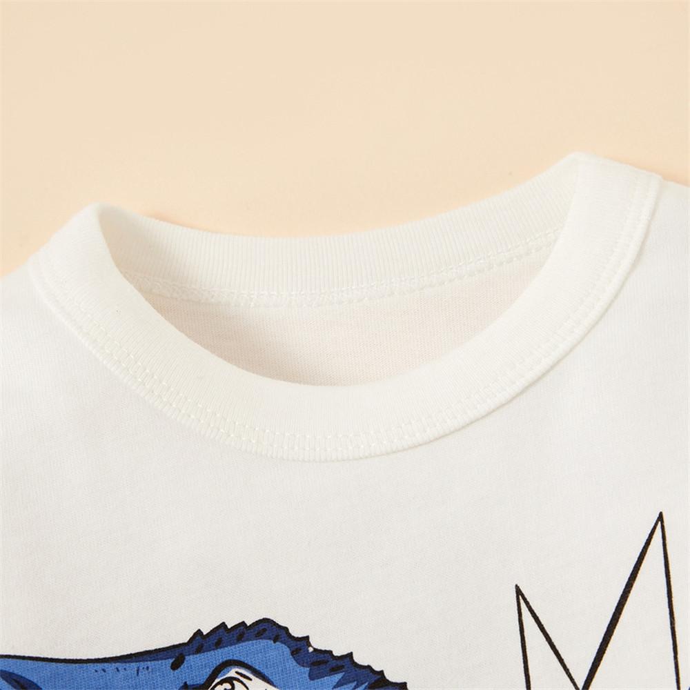 Boys Long Sleeve Color Block Dino Letter Printed Tees - PrettyKid