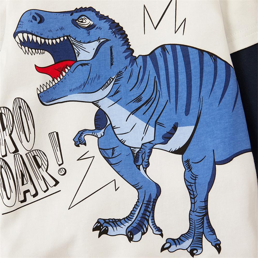 Boys Long Sleeve Color Block Dino Letter Printed Tees - PrettyKid