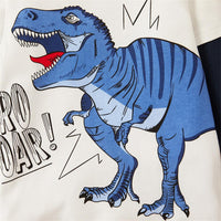 Boys Long Sleeve Color Block Dino Letter Printed Tees - PrettyKid