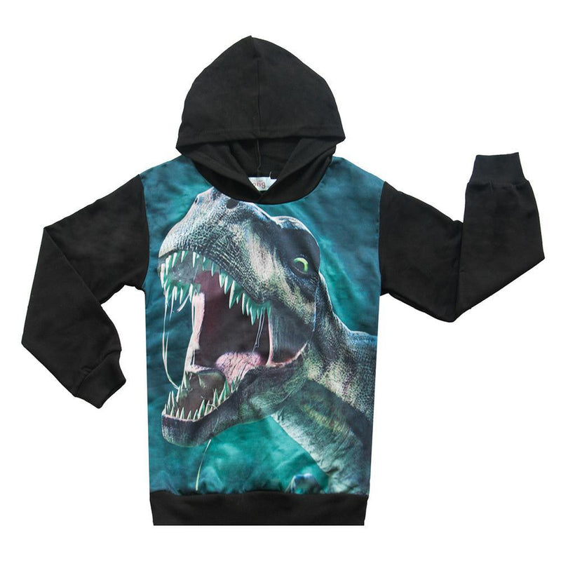 Boys Long Sleeve Dinosaur Hooded Tops - PrettyKid