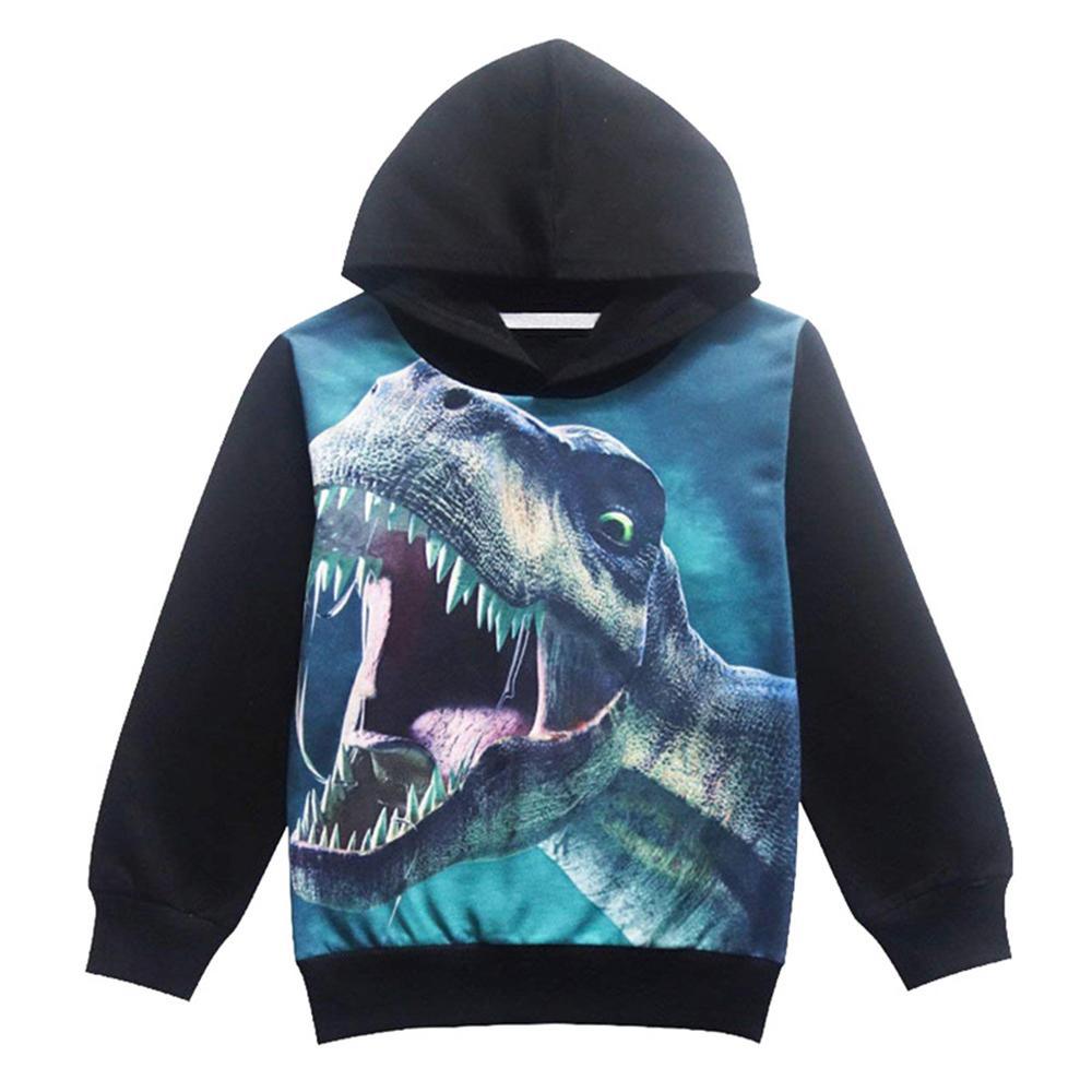 Boys Long Sleeve Dinosaur Hooded Tops - PrettyKid