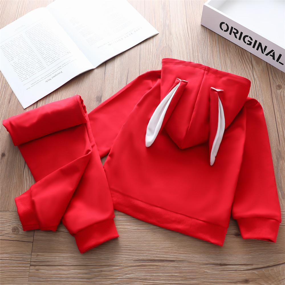 Baby Unisex Long Sleeve Hooded Top & Pants Babywear Wholesale - PrettyKid