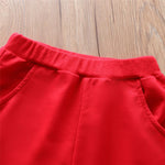 Baby Unisex Long Sleeve Hooded Top & Pants Babywear Wholesale - PrettyKid
