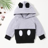 Boys Long Sleeve Hooded Top & Pants Boys Clothes Wholesale - PrettyKid