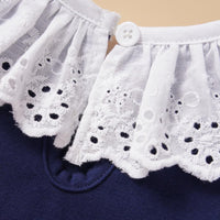 Baby Girls Long Sleeve Lace Collar Pleated Dress Wholesale Baby Clothes - PrettyKid