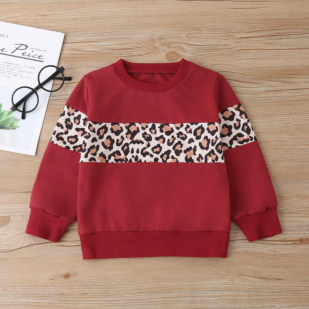 Unisex Long Sleeve Leopard Casual Top & Pants Children Clothes Wholesale - PrettyKid