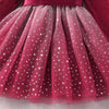 Toddler Kids Girls Solid Color Velvet Stitching Mesh Long Sleeve Dress - PrettyKid