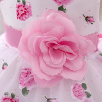 Baby Girls Flower-printed Pompous Gauze Princess Dress - PrettyKid