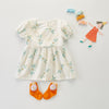 9-24M Puff Sleeve Embroidered Print Sisters Dress Triangle Romper Pack Butt Romper Wholesale Baby Clothes - PrettyKid