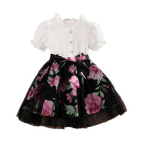 Dress Girls' Gauze Puffy Bubble Sleeve Princess Skirt Wholesale