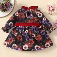 Toddler Girl Long Sleeved Floral Print Dress - PrettyKid