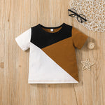 Toddler Kids Boys Summer Color Blocking Short Sleeved T-shirt and Shorts Set - PrettyKid