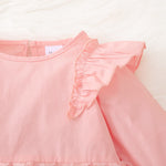 Toddler Kids Girls Pink Butterfly Long Sleeve Mesh Stitching Dress - PrettyKid