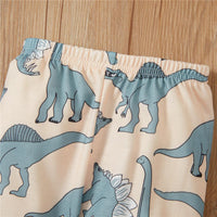 Toddler Kids Cartoon Dinosaur Print Set Children's Boutique Wholesale - PrettyKid