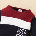 Toddler Boys Solid Color Letter Print WILD BOY Long-sleeved Suit - PrettyKid