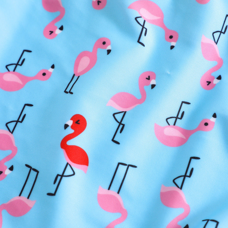 Girls' Summer New Cute Flamingo Print One-piece Swimsuit Children's Beach Style Swimsuit - PrettyKid