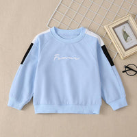 Toddler Children's Boys Solid Color Long Sleeved Sweater Pants Sports Suit - PrettyKid