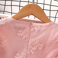 Girls' Dress Summer Pink Lace Skirt Sweet Princess Skirt Embroidery Large Children's Gauze Skirt