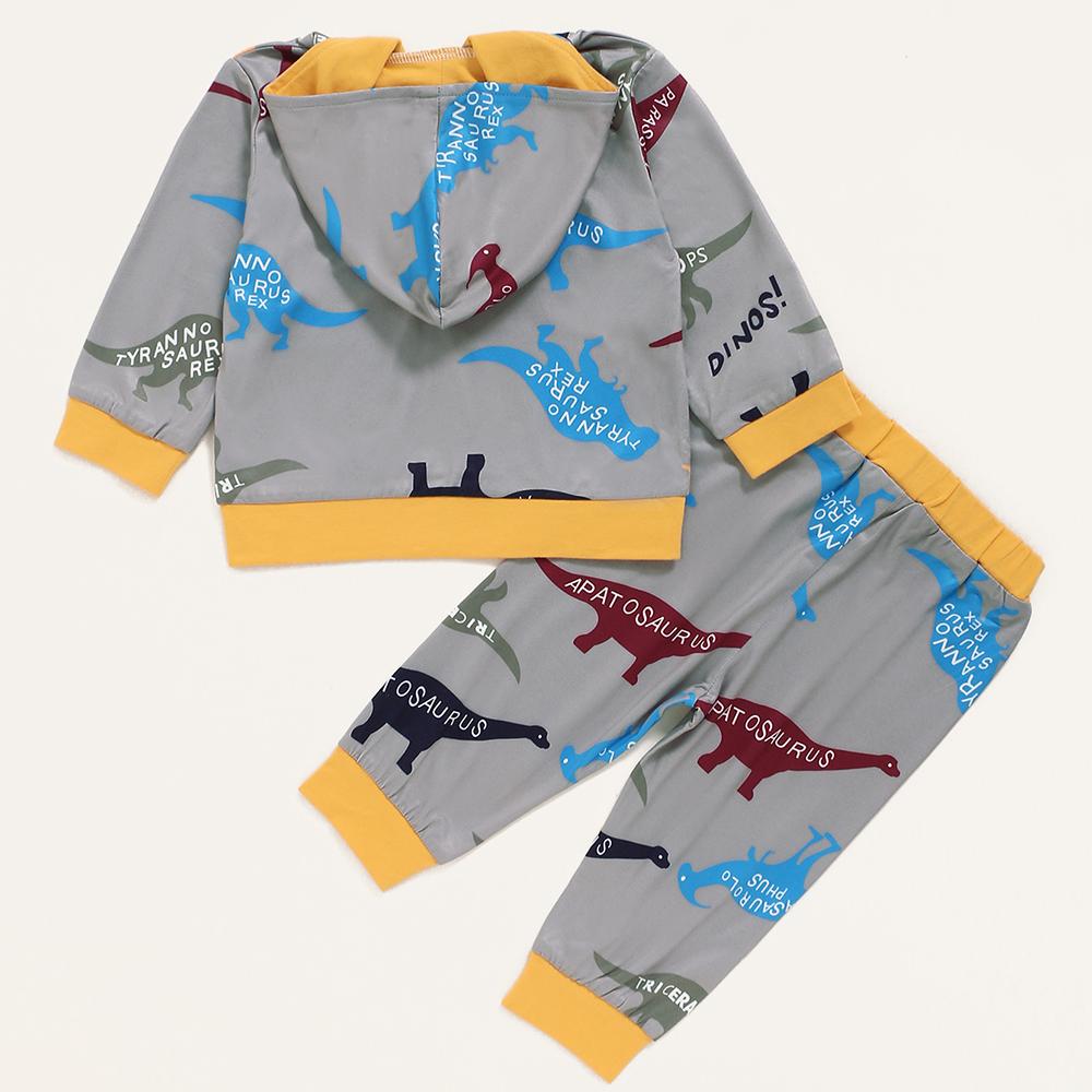 Baby Boys Pattern Dinosaur Hooded Top & Pants Wholesale Baby Cloths - PrettyKid