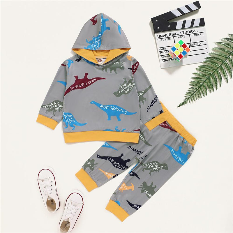 Baby Boys Pattern Dinosaur Hooded Top & Pants Wholesale Baby Cloths - PrettyKid