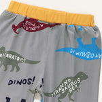 Baby Boys Pattern Dinosaur Hooded Top & Pants Wholesale Baby Cloths - PrettyKid