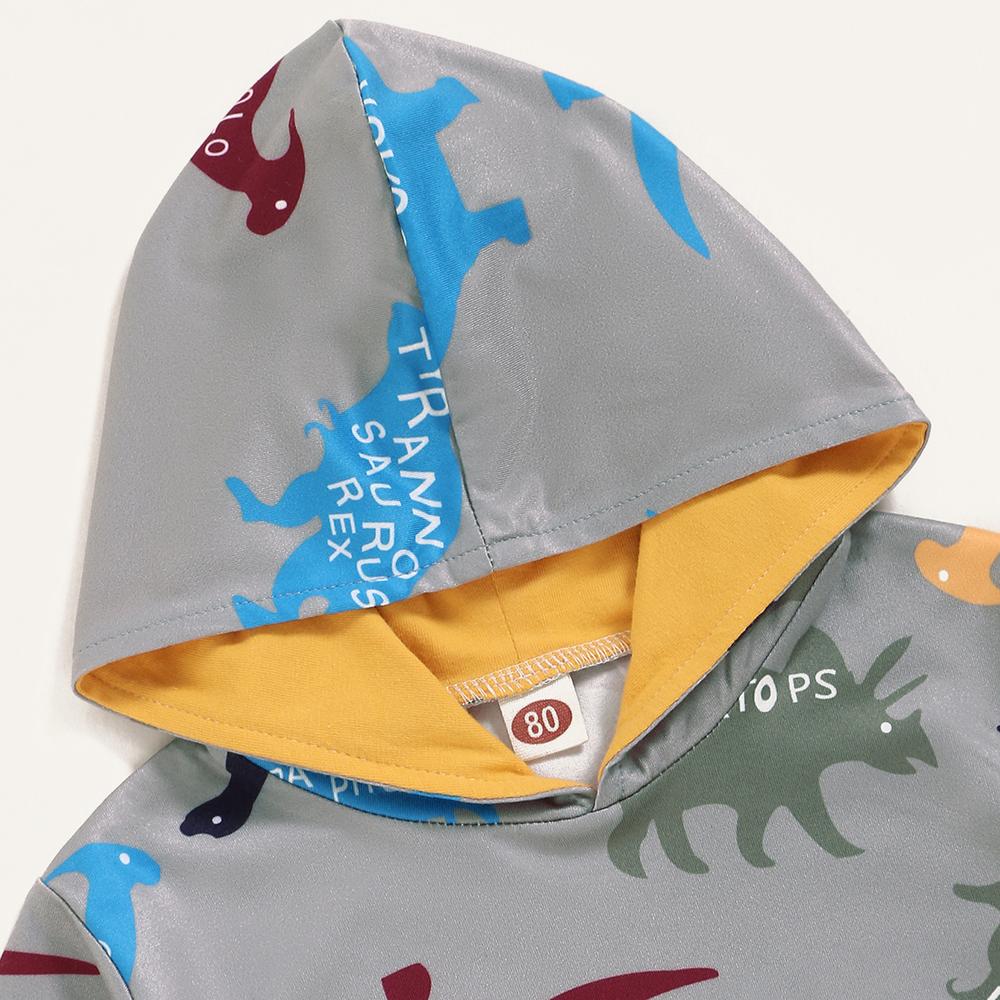 Baby Boys Pattern Dinosaur Hooded Top & Pants Wholesale Baby Cloths - PrettyKid