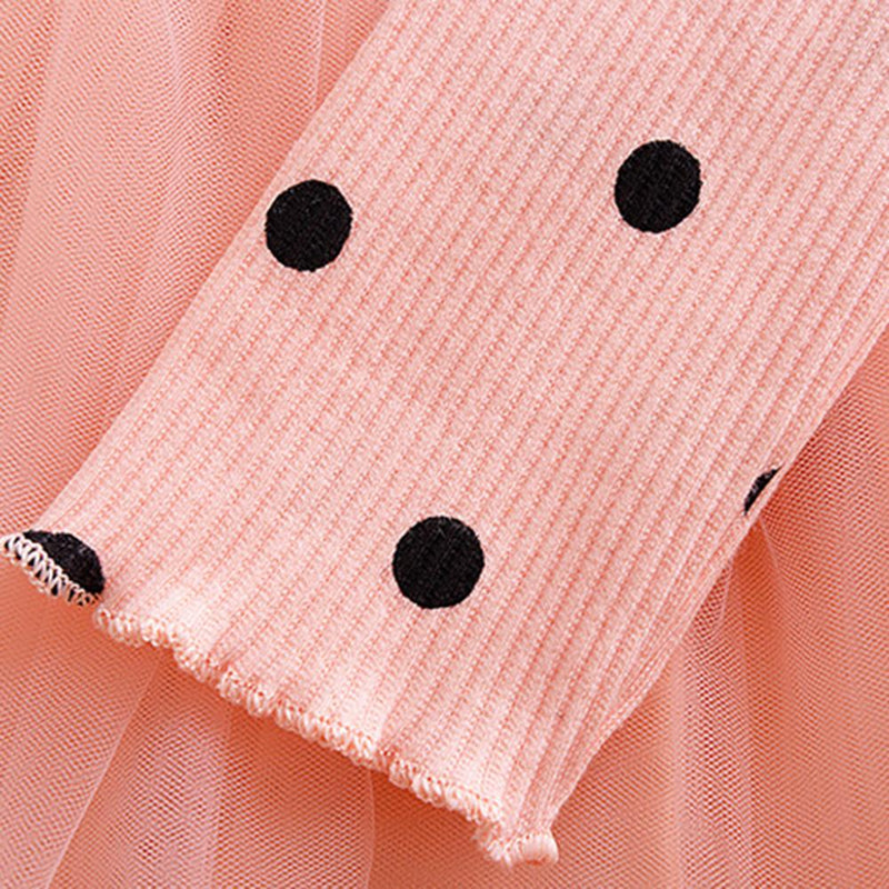 Baby Girls Polka Dot Knitted Long Sleeve Tulle Dress Baby Wholesales - PrettyKid