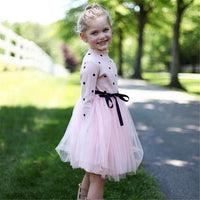 Baby Girls Polka Dot Knitted Long Sleeve Tulle Dress Baby Wholesales - PrettyKid