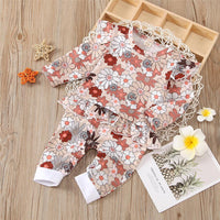 Baby Girls Ruffle Floral Long Sleeve Romper Wholesale Baby Clothes - PrettyKid