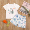 Toddler Boys Short Sleeve Elephant Printed Top & Shorts clothes kids wear supplier - PrettyKid