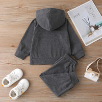 Baby Unisex Solid Color Long-sleeve Hooded Top & Pants Baby wear Wholesale - PrettyKid