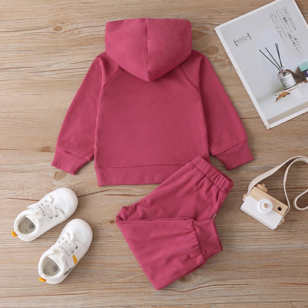 Baby Unisex Solid Color Long-sleeve Hooded Top & Pants Baby wear Wholesale - PrettyKid