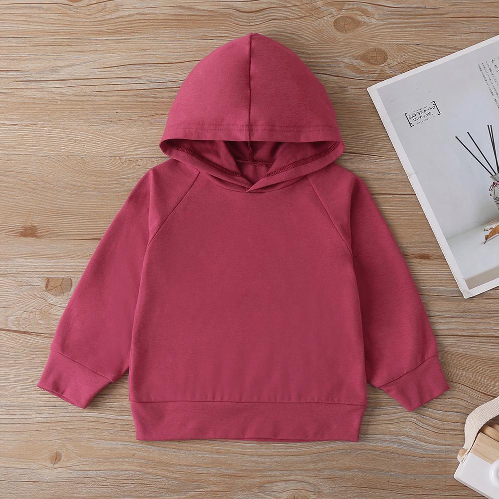 Baby Unisex Solid Color Long-sleeve Hooded Top & Pants Baby wear Wholesale - PrettyKid