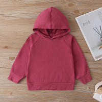 Baby Unisex Solid Color Long-sleeve Hooded Top & Pants Baby wear Wholesale - PrettyKid