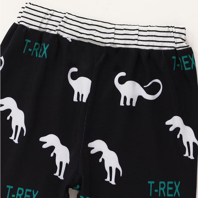 Baby Boys T-Rex Printed Hooded Top & Pants Wholesale Baby Boutique Items - PrettyKid