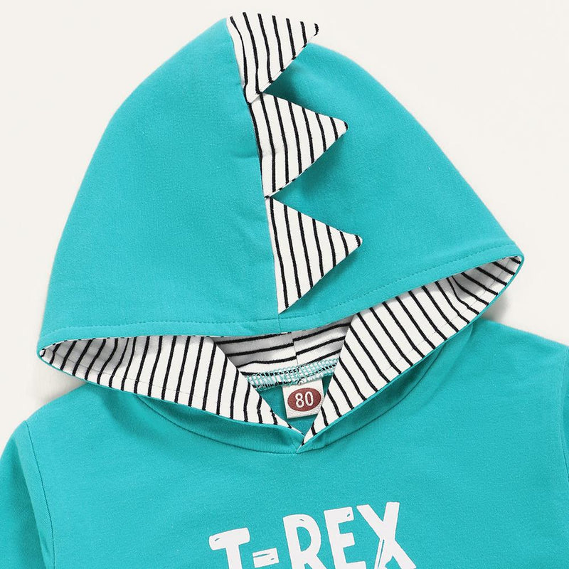 Baby Boys T-Rex Printed Hooded Top & Pants Wholesale Baby Boutique Items - PrettyKid